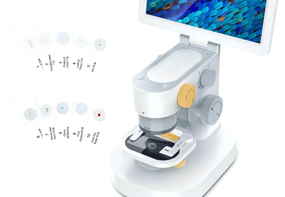 compound microscope with digital camera