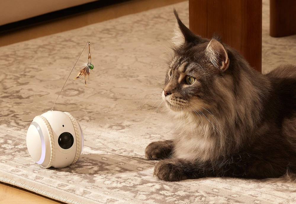 best home camera for pets