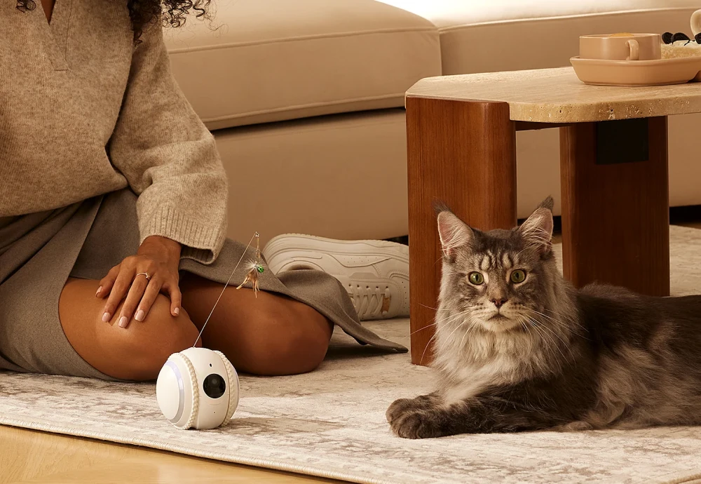 best home camera for pets