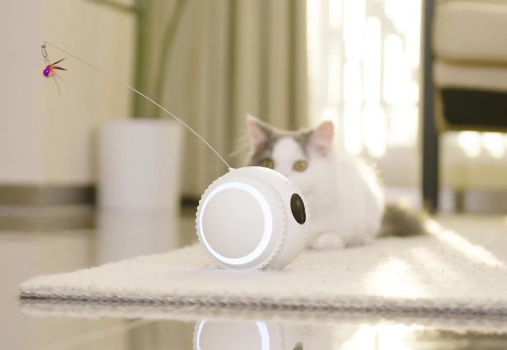 pet surveillance camera