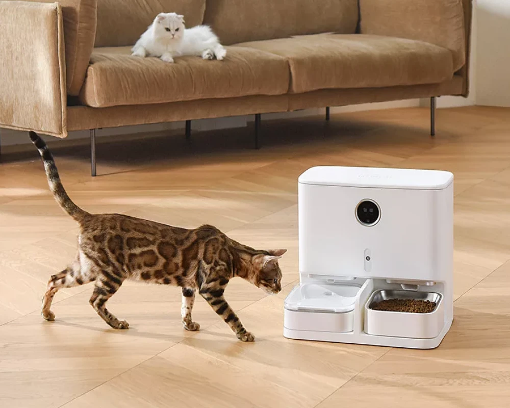 automatic feeder for dogs