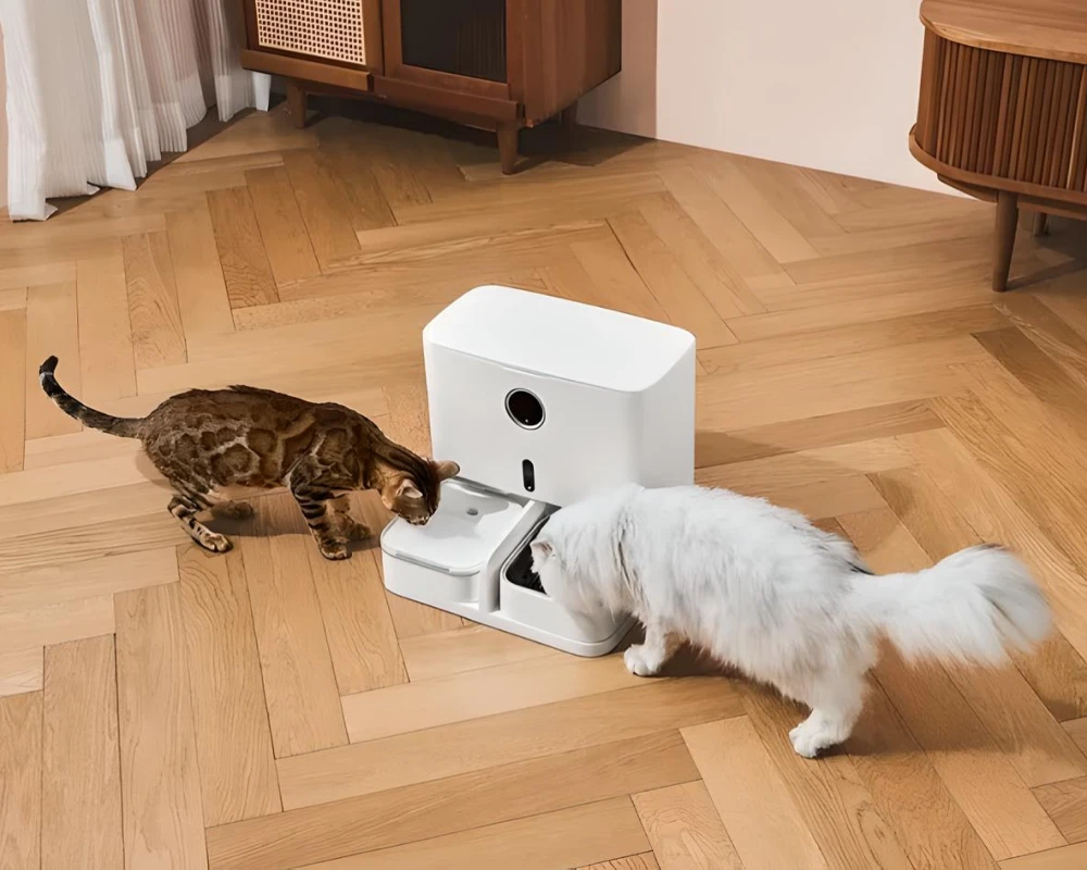 automatic electronic pet feeder